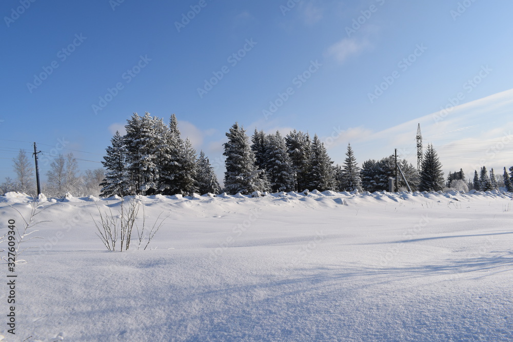 Obraz premium winter landscape with trees