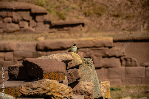Tiwanaku Bolivia