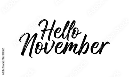 Hello November Inspirational lettering black color, isolated on white background. Vector illustration for posters, banners, flyers, stickers, cards and more. Vector illustration. EPS10.