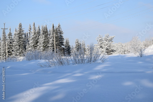 winter landscape with trees © tanzelya888