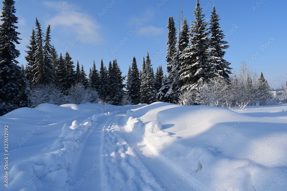 road in the winter forest road in the winter forest