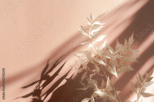 Fresh white branch on pink background with shadow