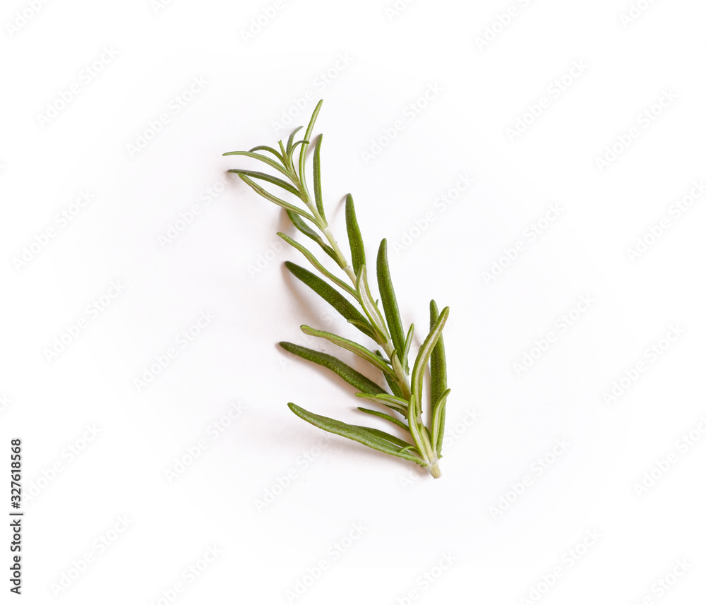 Fresh rosemary isolated on white background Fresh rosemary isolated on white background