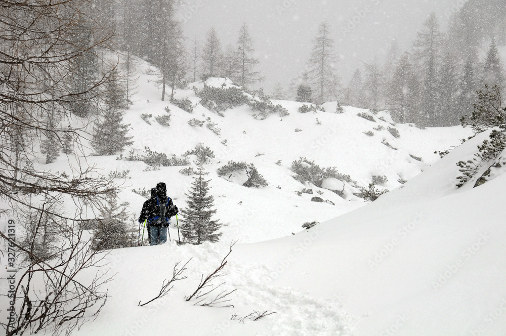 Trentino, escursione sotto la neve