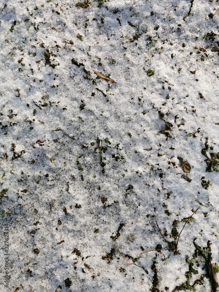 Melted snow in the spring with brown leaves, spring in March.Dirty snow.Little snow on the ground.Spring in the countryside.Dirty foliage.Wet earth Melted snow in the spring with brown leaves, spring in March.Dirty snow.Little snow on the ground.Spring in the countryside.Dirty foliage.Wet earth