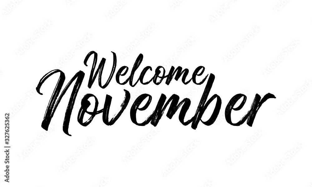 Welcome November Inspirational lettering black color, isolated on white background. Vector illustration for posters,  banners, flyers, stickers, cards and more. Vector illustration. EPS10.