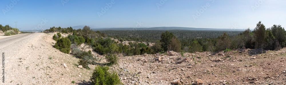 Naklejka premium Ausblick auf Arganwälder bei Essaouira, Marokko, Panorama