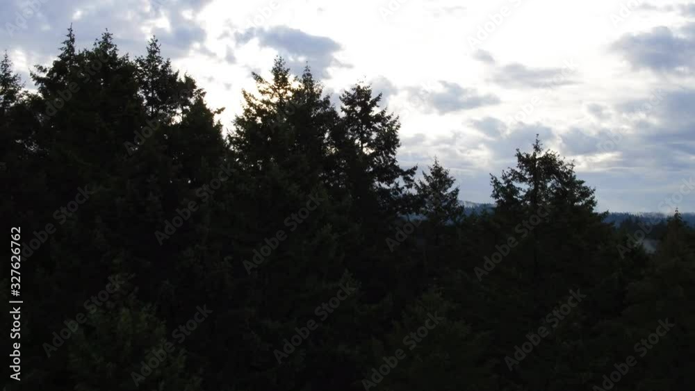 Drone skims tree tops to reveal mountain valley with fog and clouds Drone skims tree tops to reveal mountain valley with fog and clouds
