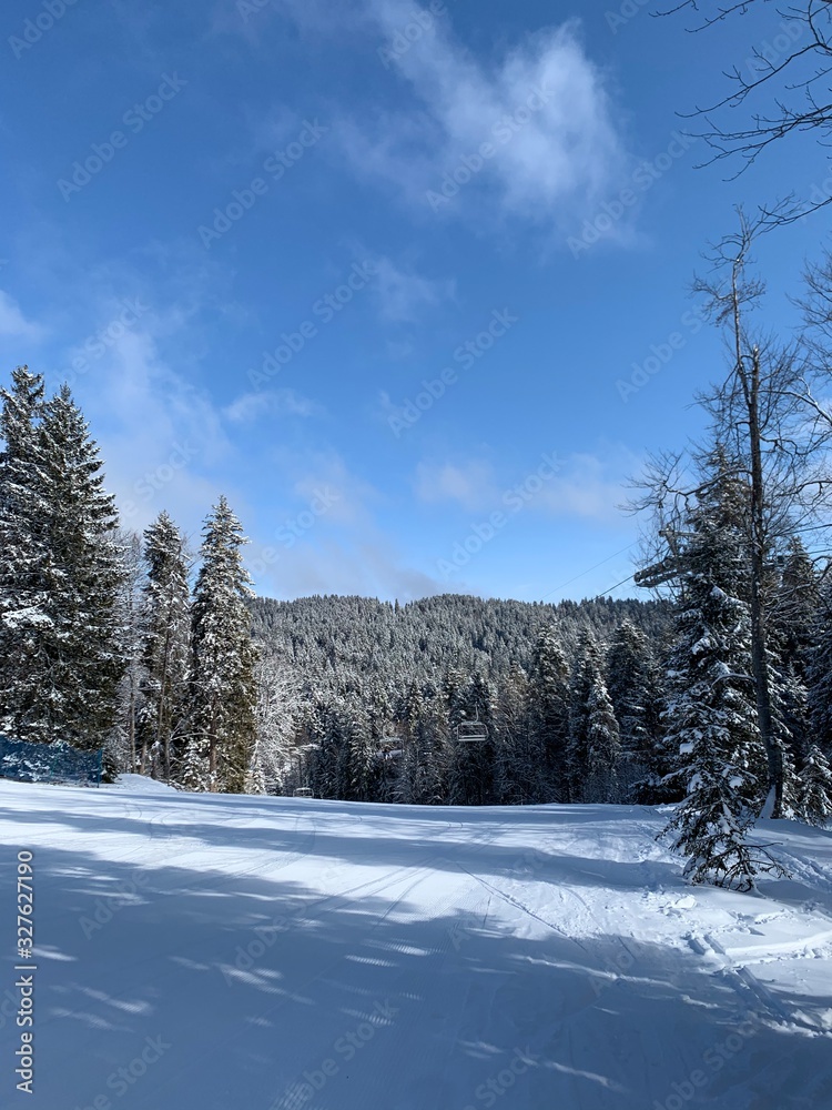 winter landscape with trees and snow winter landscape with trees and snow