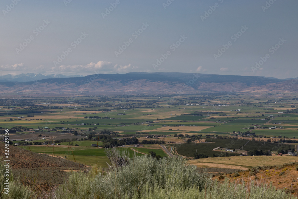 Obraz premium golden rural fields