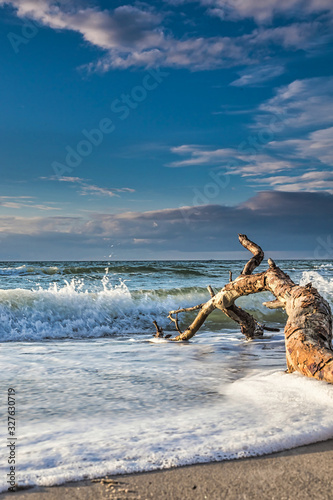Fototapeta Naklejka Na Ścianę i Meble -  driftwood at on the beach with waves and beautiful cloud cover over the sea - baltic sea