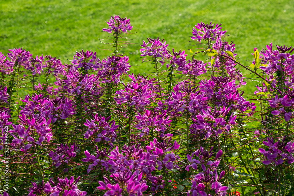 Auenpark Marktredwitz Auenpark Marktredwitz