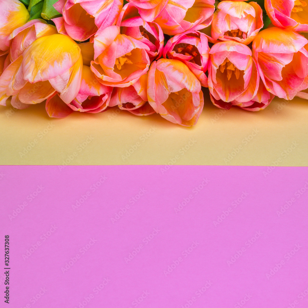 Bouquet of tulips on multi colored background for post card