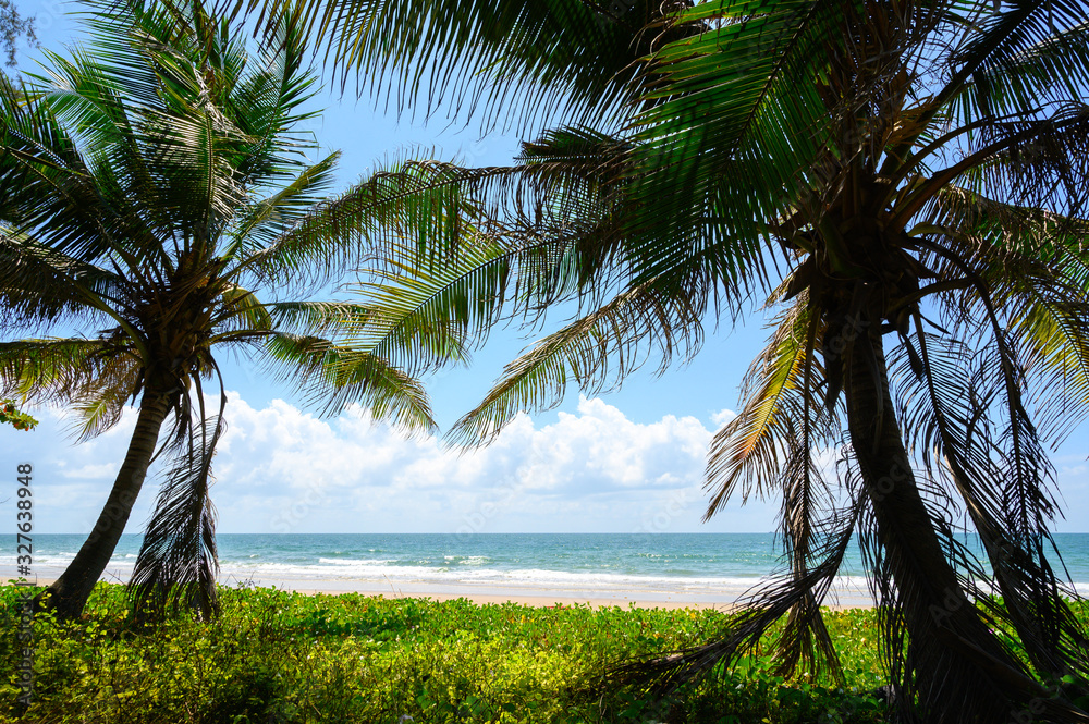 Beautiful beach. View of nice tropical beach with palms around. Holiday and vacation concept. Tropical beach.