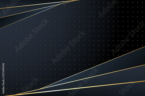 Abstract Luxury Background .Vector Illustration. Template Background. Premium Style, eps10