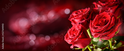 Four Roses In Romantic Background bokeh. Valentine rose card banner or wide panorama.
