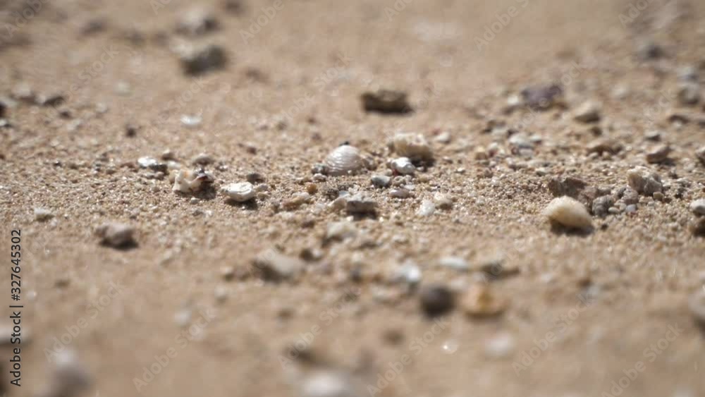 Pebbles washed ashore on the beach in Hawaii. Pebbles washed ashore on the beach in Hawaii.