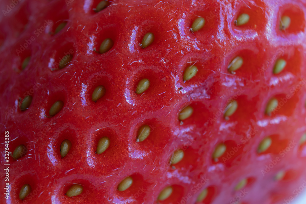 details of the outside of a strawberry details of the outside of a strawberry
