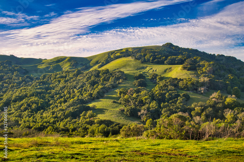 Country hillside in Northern California 