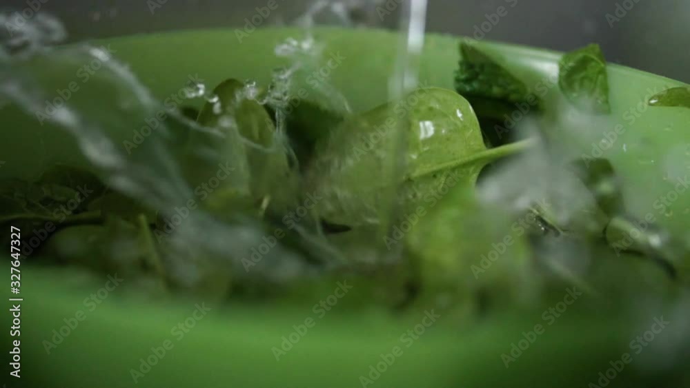 Current of water falling between green leaves of baby spinach in plastic bowl creating small fountain like effect, SLOW MOTION Current of water falling between green leaves of baby spinach in plastic bowl creating small fountain like effect, SLOW MOTION