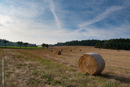 Bales of straw lying in a harvested field under breathtaking blue sky on a sunny day