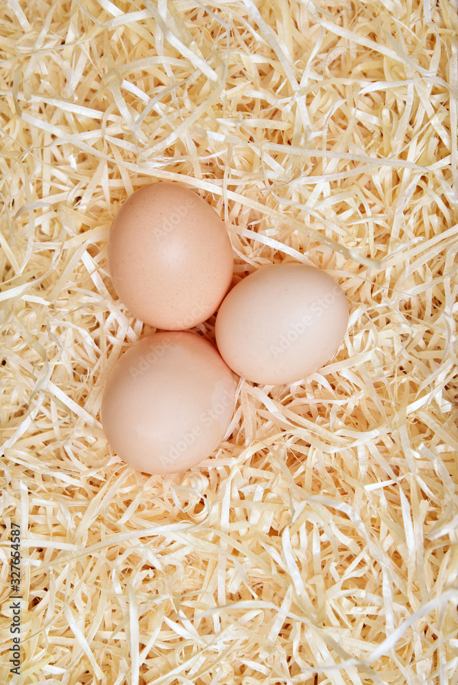 Three eggs in the nest view from the top, vertical photo Three eggs in the nest view from the top, vertical photo