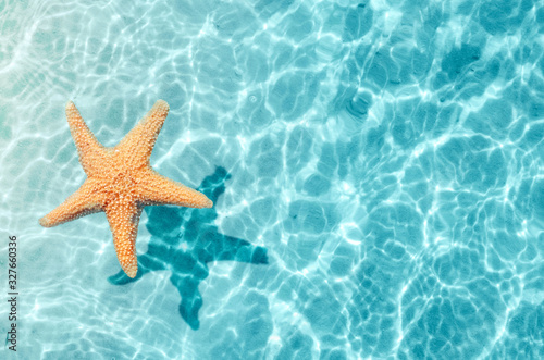 Starfish on the summer beach in sea water. Summer background.