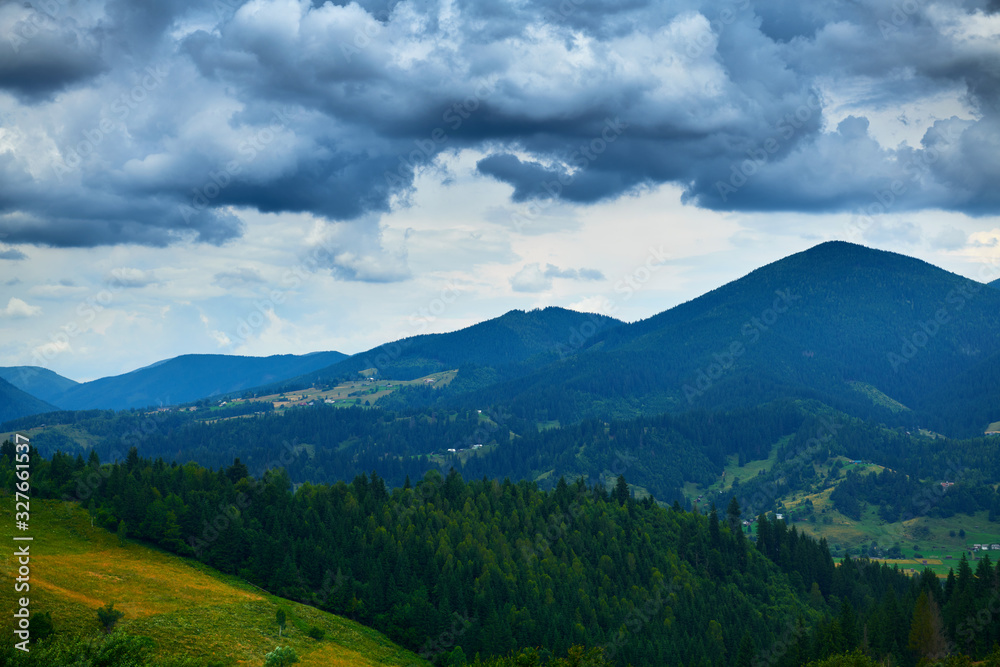 nature, beautiful cloudy sky, summer landscape in carpathian mountains, wildflowers and meadow, spruces on hills