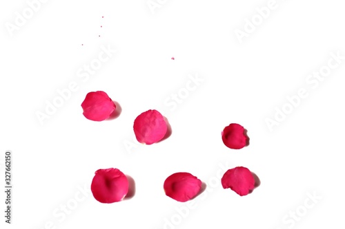 In selective focus of sweet red rose corollas on white isolated background and colorful flora details