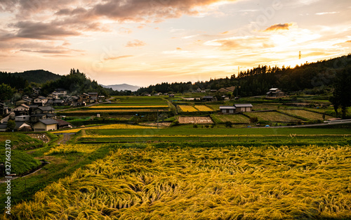 Sunset over the yellow fields in picturesque Magome village in Kiso Valley, Japan.