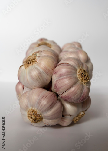 White and purple garlic head on a white background