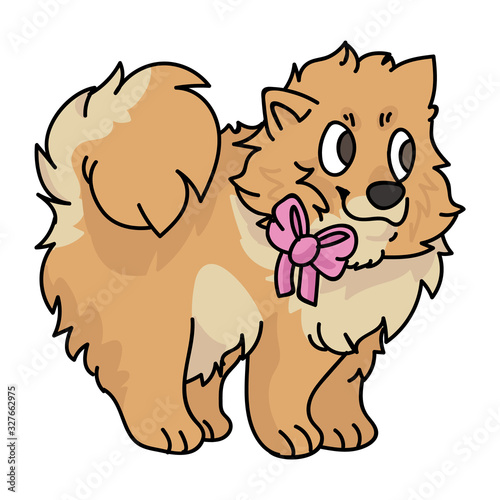 Cute cartoon pomeranian puppy with girly bow vector clipart. Pedigree kennel doggie breed for dog lovers. Purebred domestic dog for pet parlor illustration mascot. Isolated canine spitz hound. EPS 10