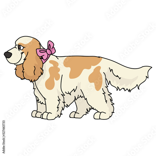 Cute cartoon cocker spaniel with girly bow dog vector clipart. Pedigree kennel dog lovers. Purebred domestic puppy for pet parlor illustration mascot. Isolated canine English hunting breed. EPS 10. 