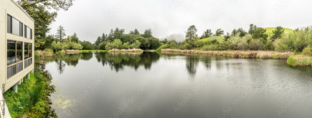 Fotografia do Stock: Panorama view and reflection of the tree lined ...