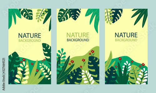 Flat flower of jungle background. Summer nature landscape poster. Decorative floral leaves for wallpapers social stories. Forest plant composition. Spring banner with leaf plant. vector illustration.