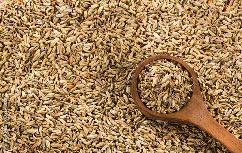 Dry organic fennel seeds - Foeniculum vulgare photo