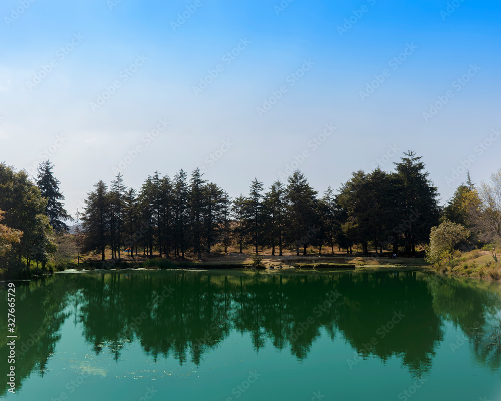Obraz premium lake in the forest