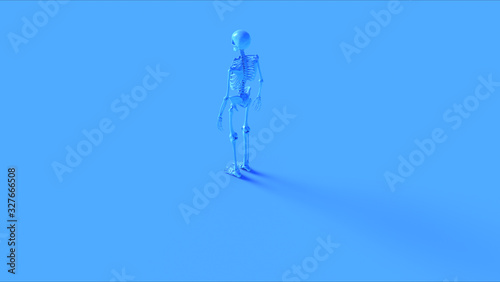 Blue Ecorche Anatomical Model Rear Left View 3d illustration 3d render