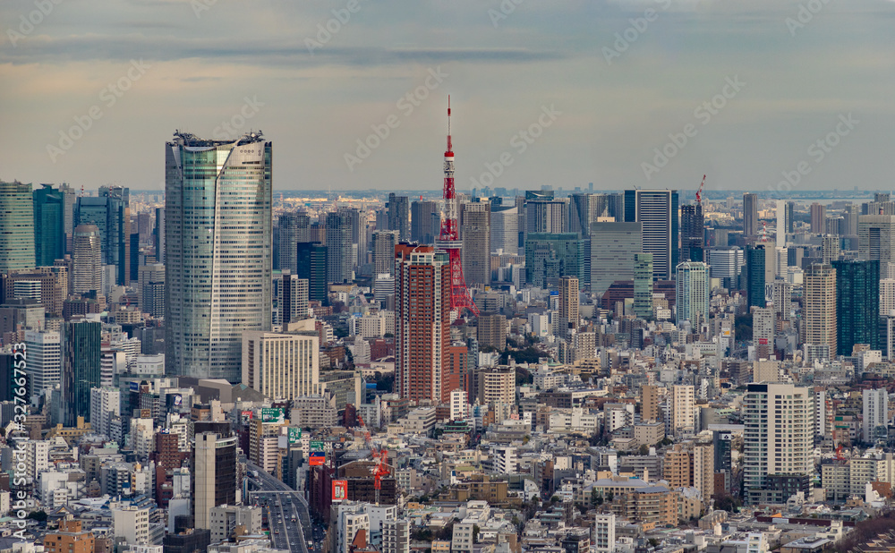 Fototapeta premium Tokyo Tower I