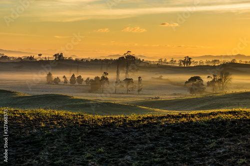 A beautiful golden sunrise with sun touching frost grass in rural Waikato, New Zealand. 