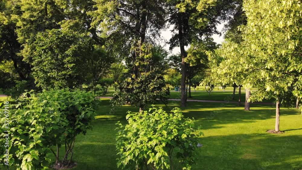 View from drone moving through green park garden. Lawn with short grass and trees. Turn around. View from drone moving through green park garden. Lawn with short grass and trees. Turn around.