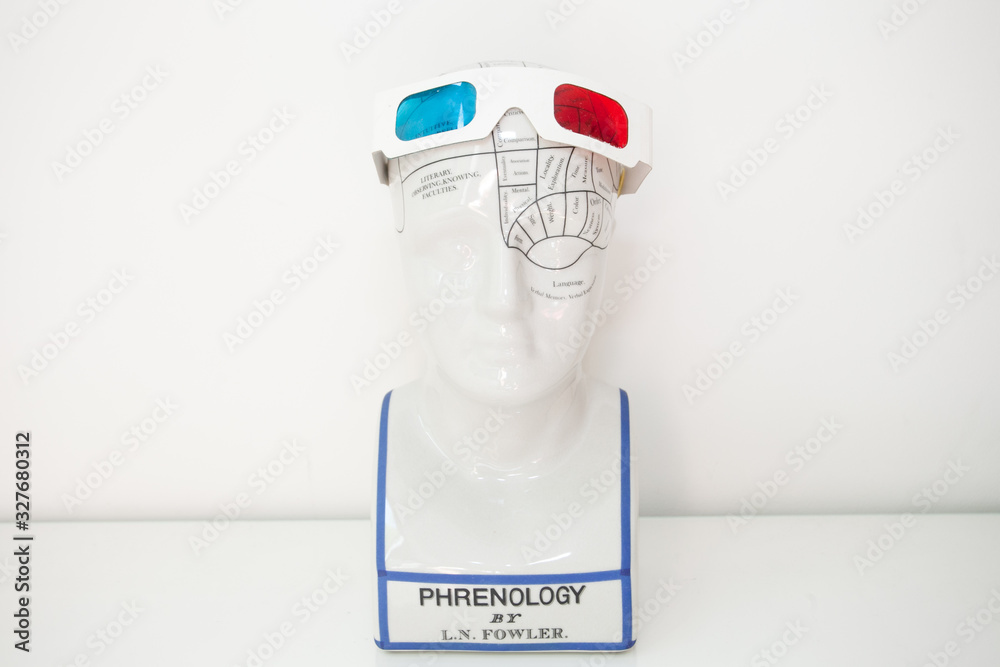 Obraz na plátně Phrenology