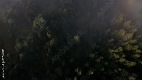 Top view of colorful mixed forest shrouded in morning fog on a beautiful autumn day