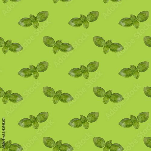 Basil pattern on green background, square orientation