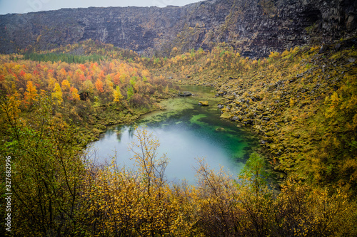 Small lake in Asbyrgi National Park  Iceland