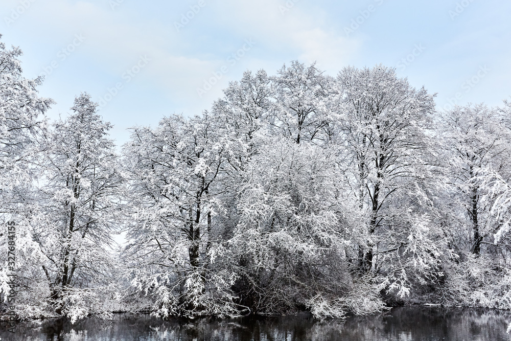 winter forest in the snow and river