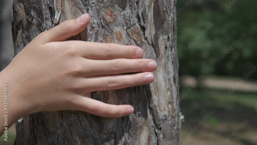 Hand on tree bark.