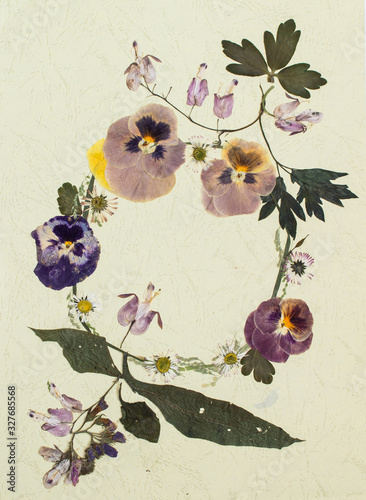 Pressed flowers