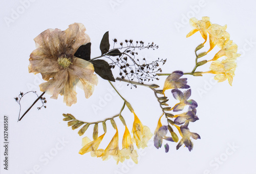 Pressed flowers