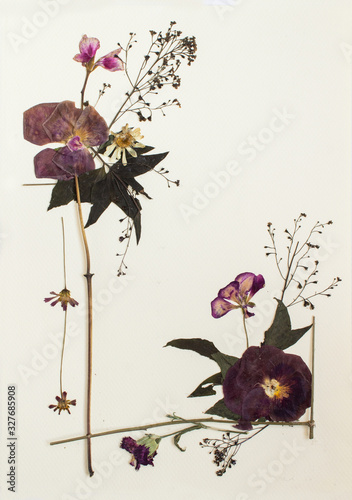 Pressed flowers